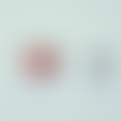 The true cost of Covid-19 (P. Yannamani)