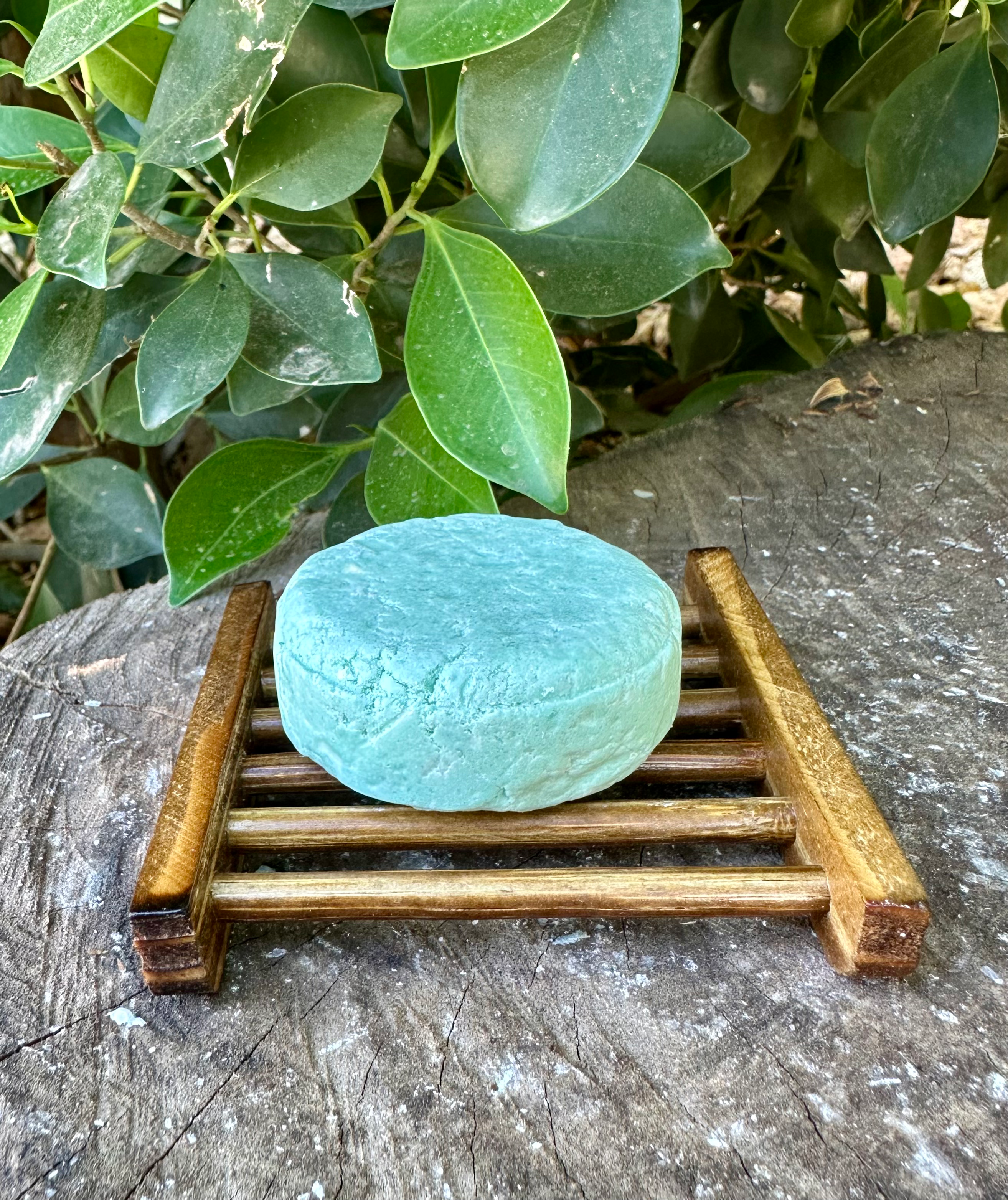 Olivewood & Cypress Shampoo Bar