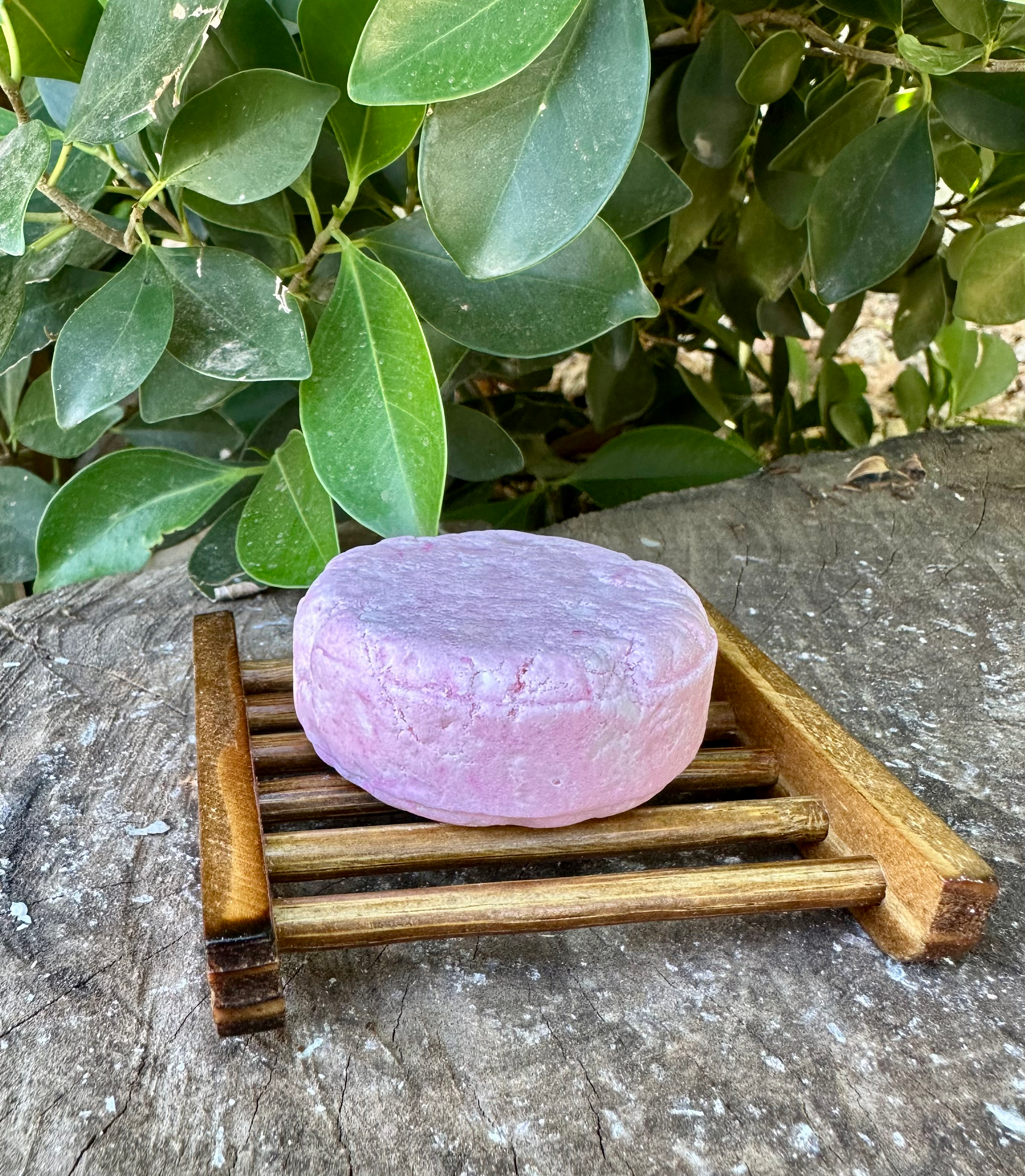 Sea Salt & Lily Shampoo Bar