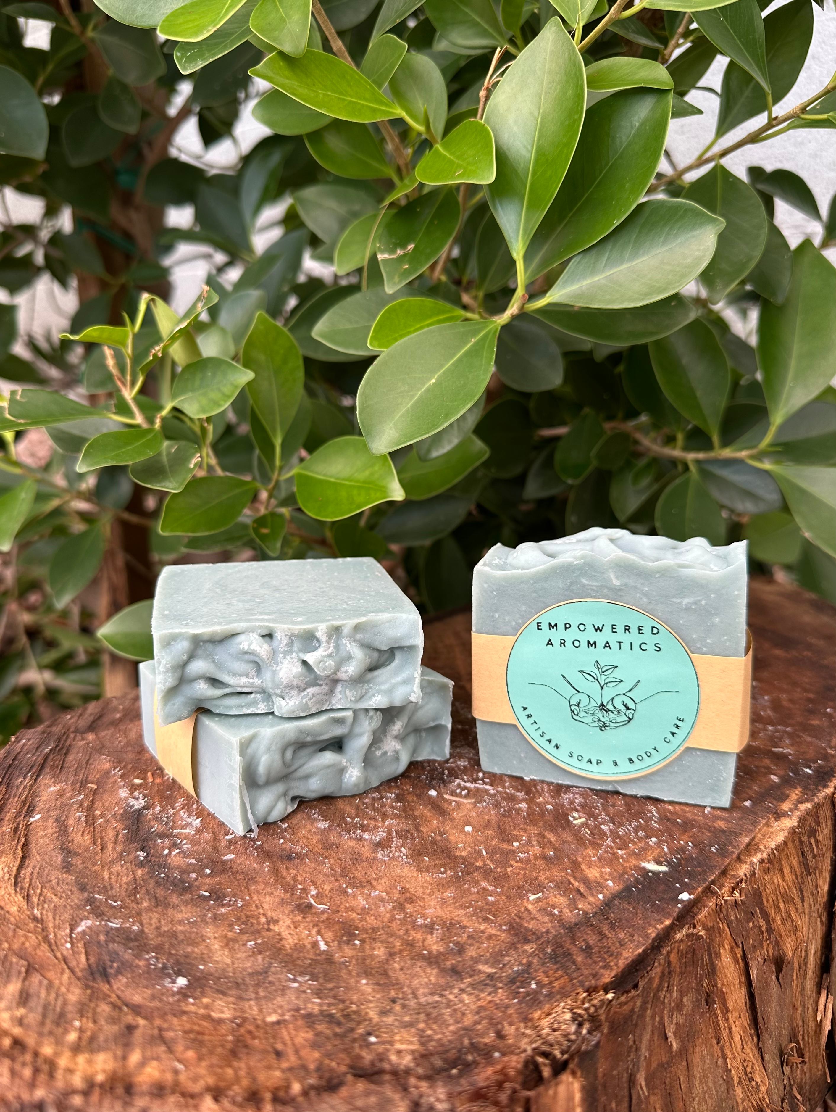 Salt & Stone Bar Soap