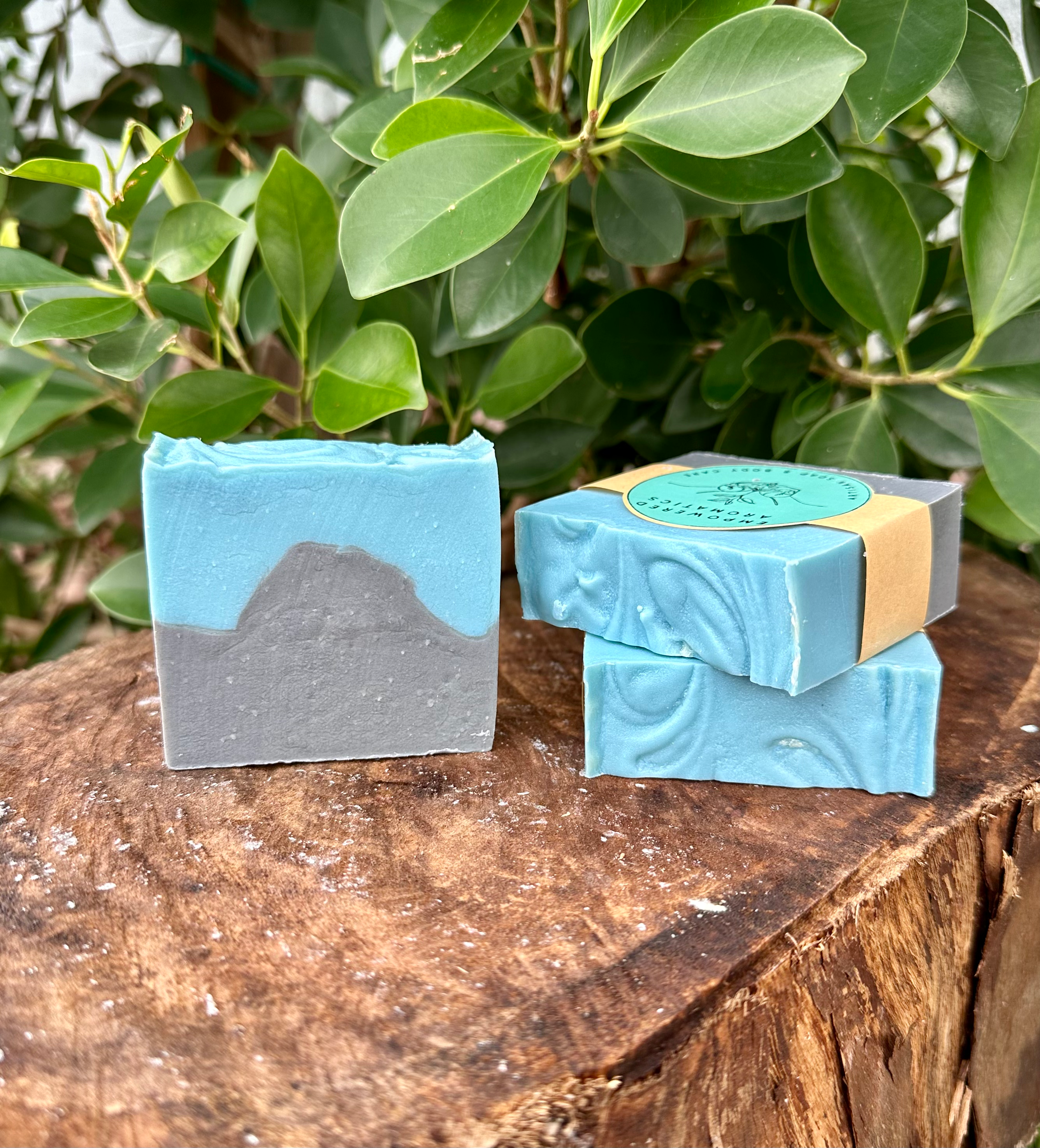 Sea & Stone Bar Soap