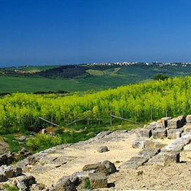 ARA della REGINA - TARQUINIA