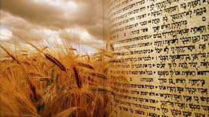 Shabat Naso & Shavuot