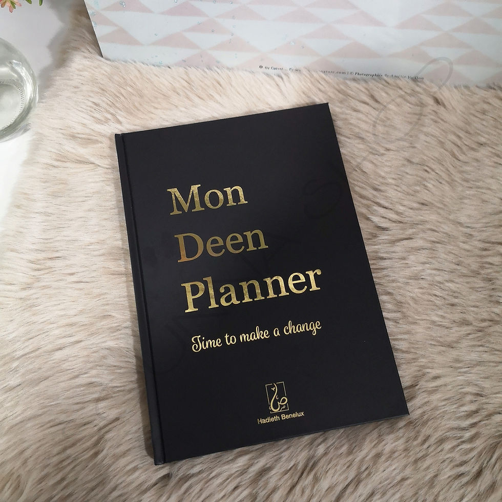 Miniature : Mon Deen Planner