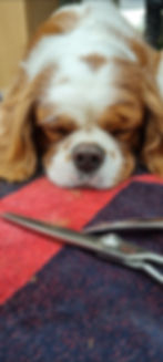 zzz...
