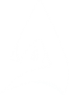 LOGO ANODS V2 BLANC.png