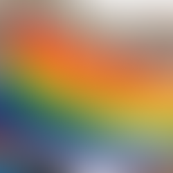 LGBTQ+ in a Learning Environment
