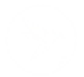 Logo Kolibri Netzwerk e.V. weiß