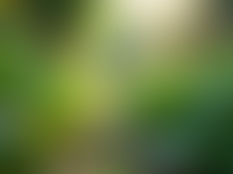 The Importance of Sustainable Living in Today's World