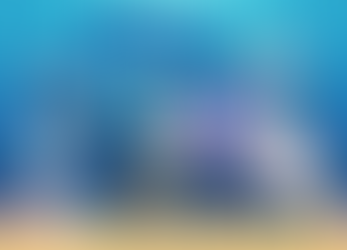 為何潛水課程會有不同組合?從學習方式、國際教材到體驗設計的完整解釋