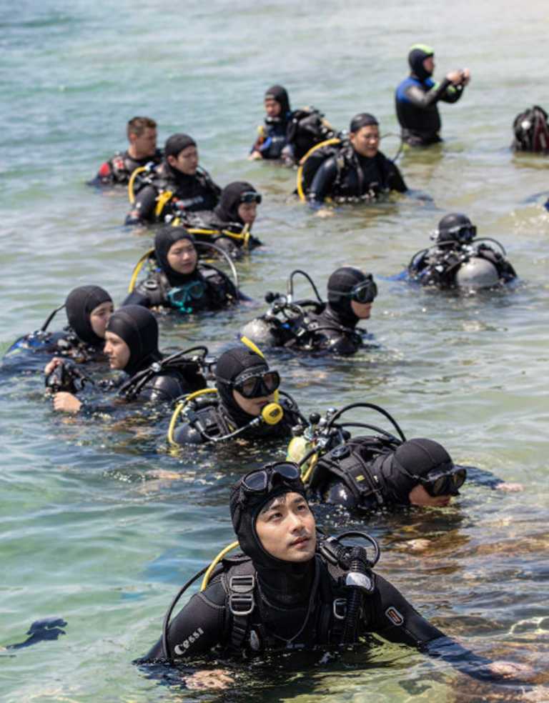 AI 生成圖非真實diver