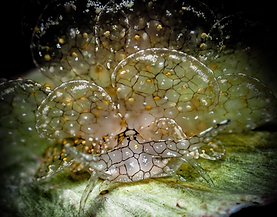 螢幕截圖 2026-02-13 下午6.14.39.png