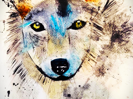 Starter Sketches: Watercolour Wolf