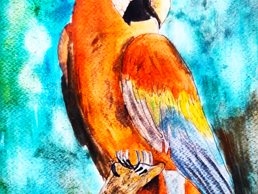 Starter Sketches: Back to Birds