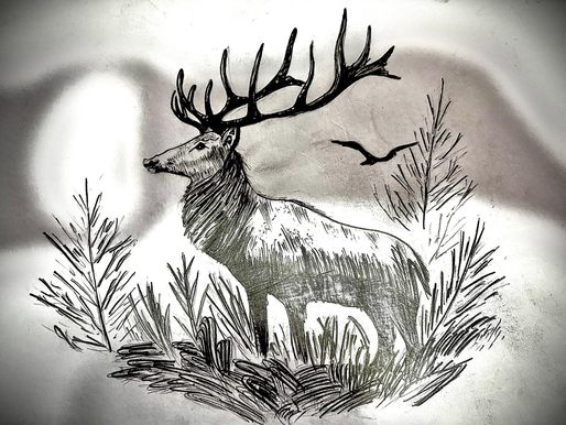 Advanced Sketching Course: Wildlife