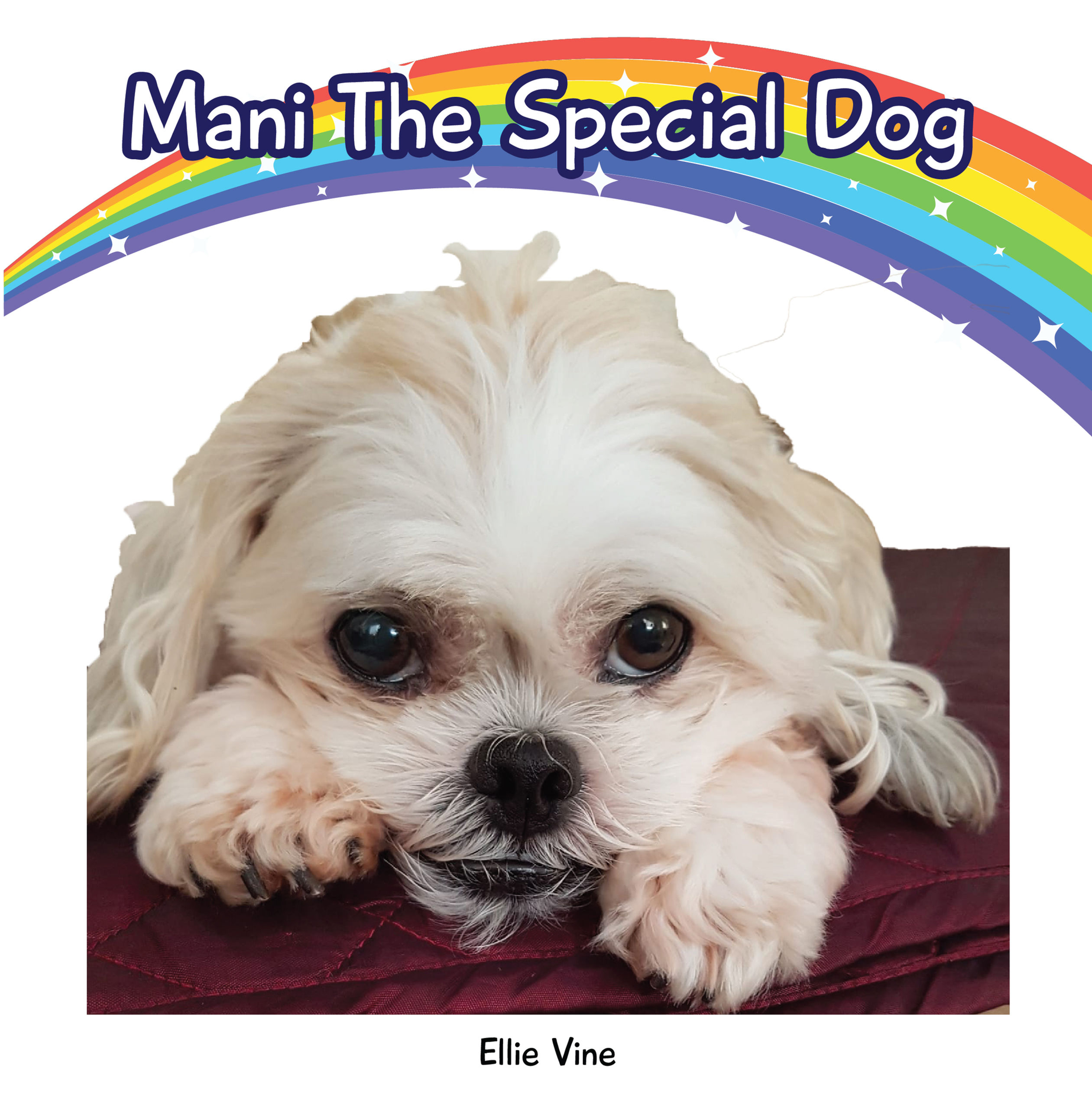 Mani The Special Dog EBOOK