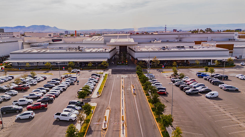 bolsa de trabajo.jpg