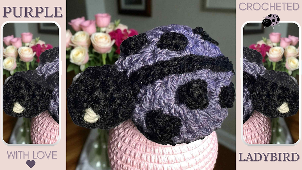 The Birth of Hoggy: Building Neurodiversity Resources That Help