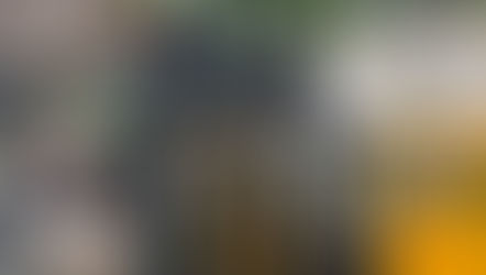 48. NewBorn Brew Cafe