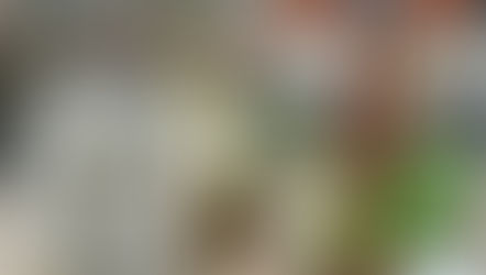 59. Russian Orthodox Resistance