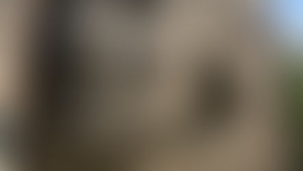 47. Honoring the Past