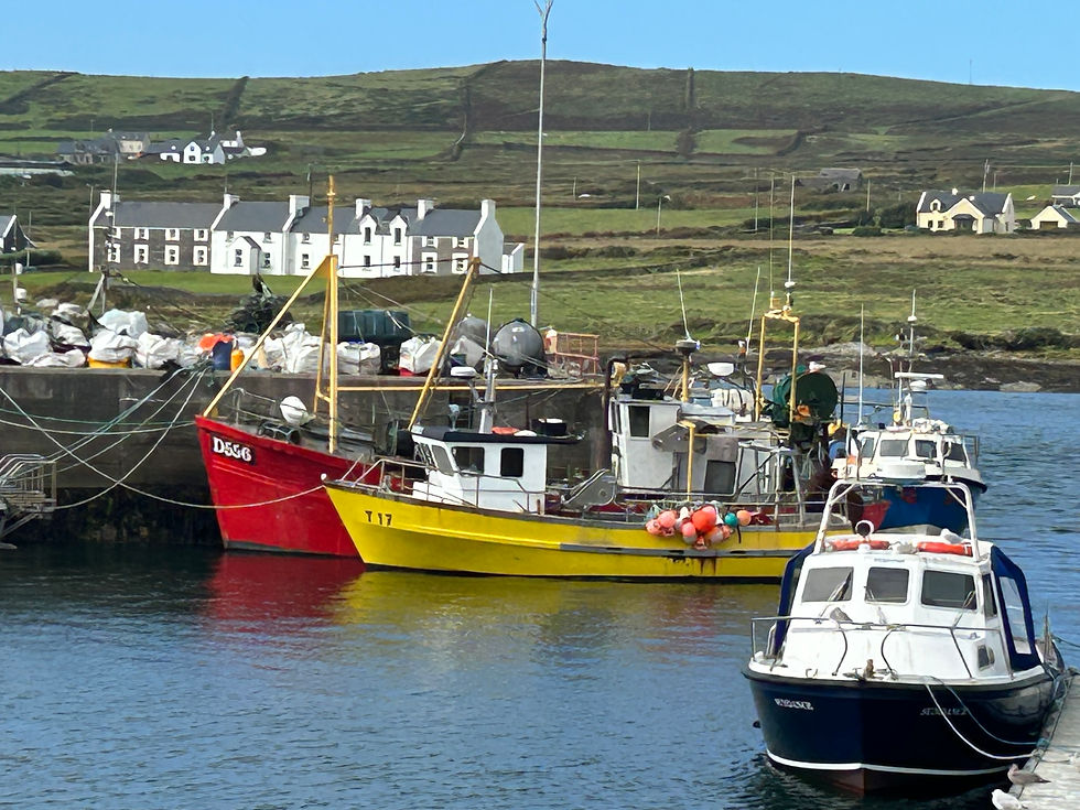 Boats not leaving harbor today. No fishing. No Skellig trips.