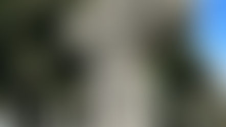 96. Scattered First Impressions