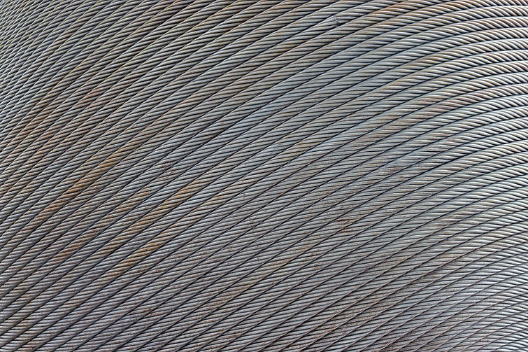 shutterstock_2346657613.jpg