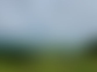 本日より通常営業致します