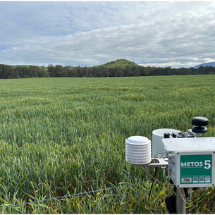 Data-driven decisions in the Upper Murray with Upper Murray Producers Plus group (UMP+)