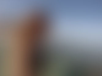 שבת בבוקר יום מושלם - מפגש משולש