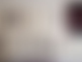 EL trabajo de un año da sus frutos