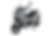 LION_NARDO_180_edited.png