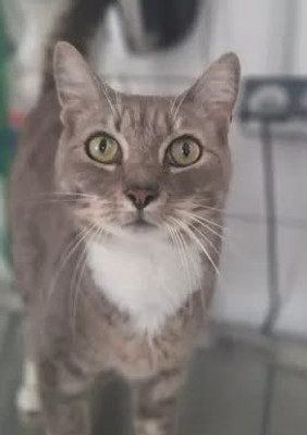 minet.jpg