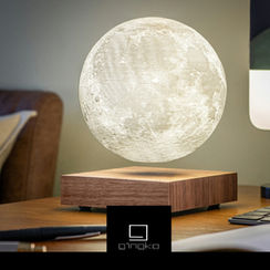 Gingko Design
Colleferro (RM)