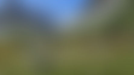 Swiss Robot Transforms Shape to Tackle Varied Terrain