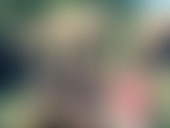 Matthew, Sophie and Thomas go to Chiang Mai