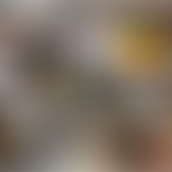 PROFESSIONAL TIMELINE
