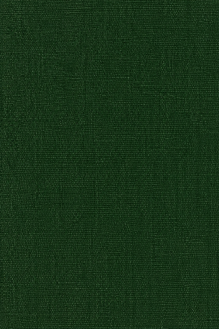 Textura de lienzo verde bosque.png