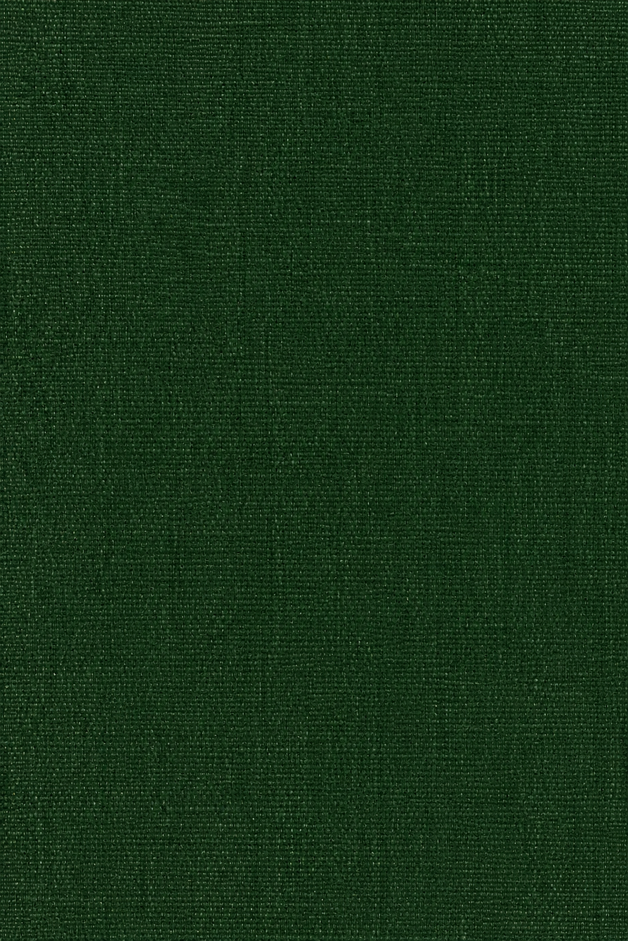 Textura de lienzo verde bosque.png