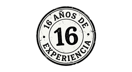 16 años de experiencia