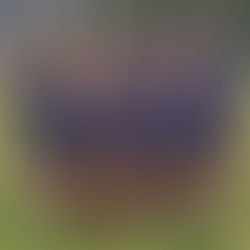 u16 gewinnt die Zwischenrunde