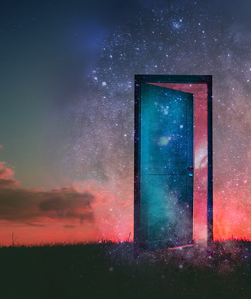 Portal.jpg