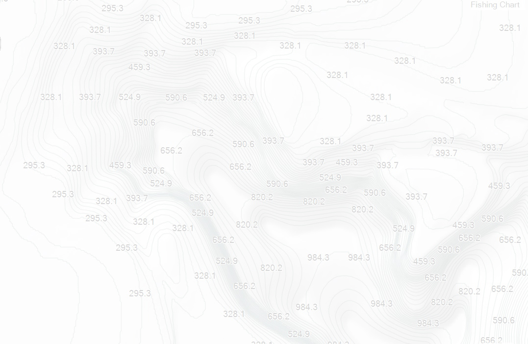 Blue Runner Sportfishing | Home