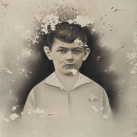 Emilie Levienaise-Ferouch - Ravage