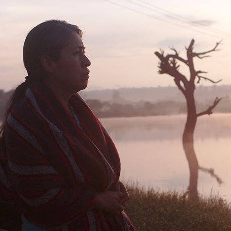 Clarice Jensen - Identifying Features