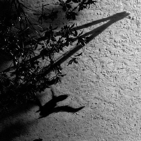 Max Richter - The Blue Notebooks