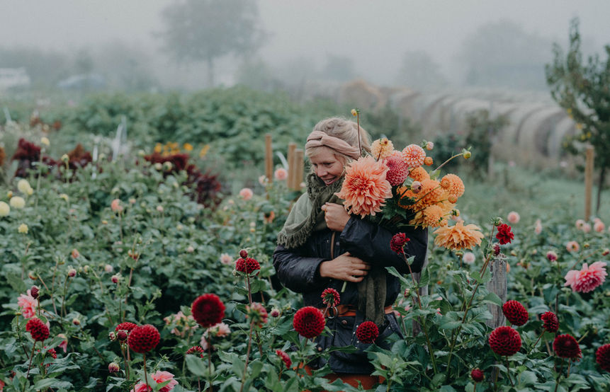 Malin Lüth im Dahlienfeld der Wildling Blumen Flowerfarm.jpg