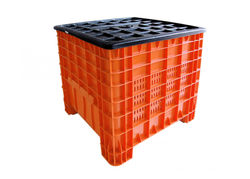 Cont. México Calado