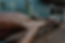 Asset 54.png